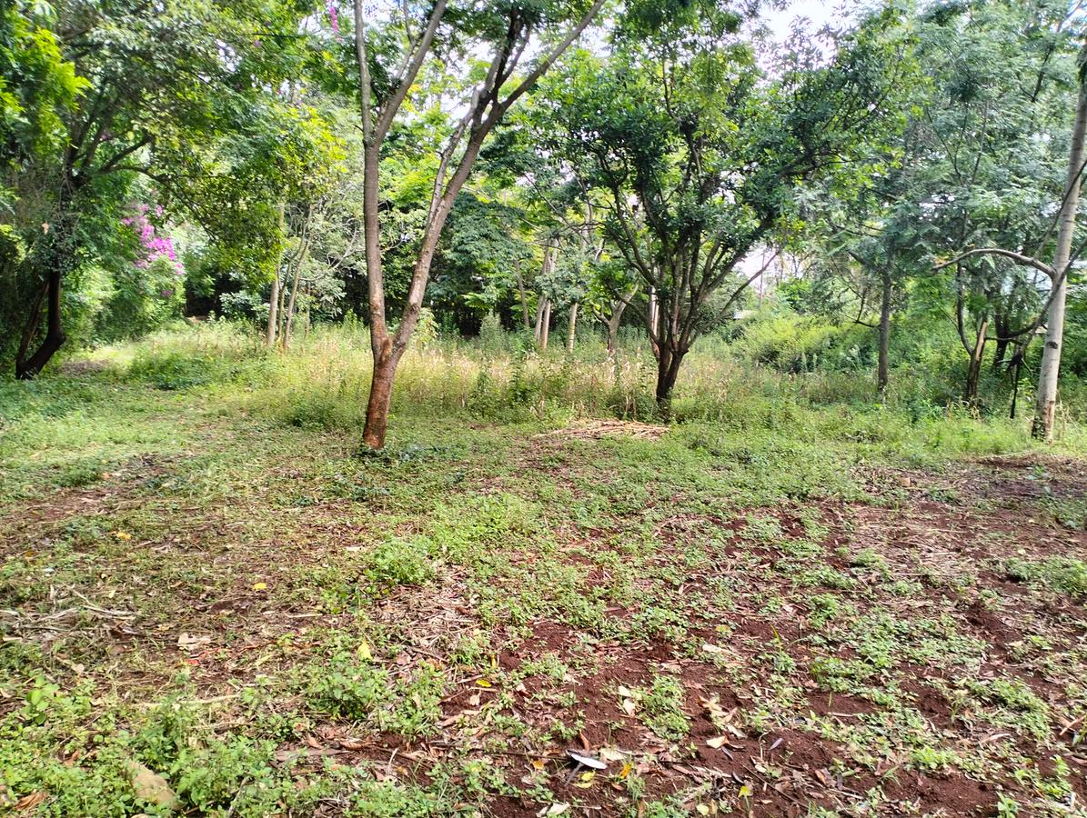 1 ac Land in Runda - 6