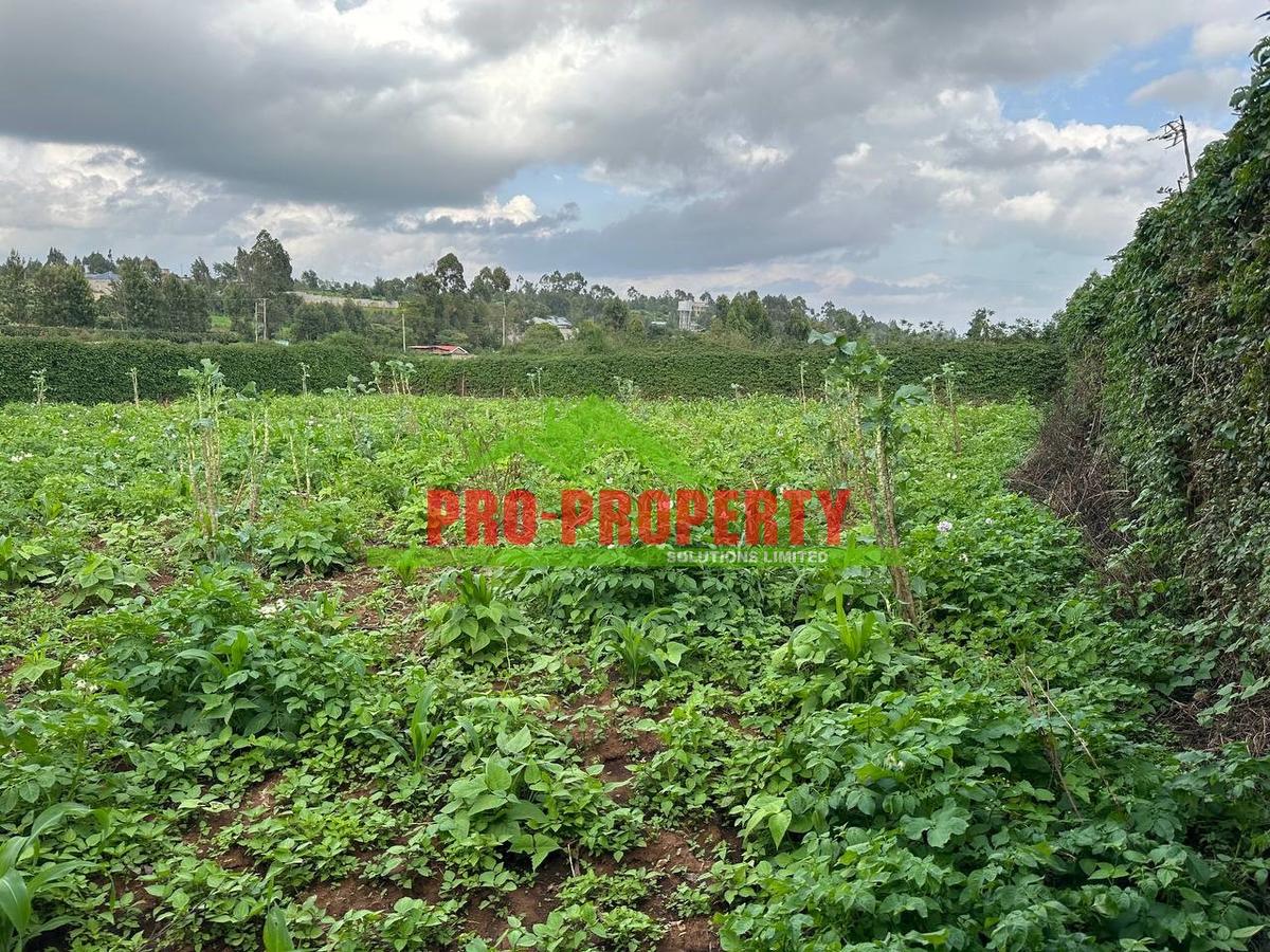 0.15 ha Residential Land at Kamangu - 10