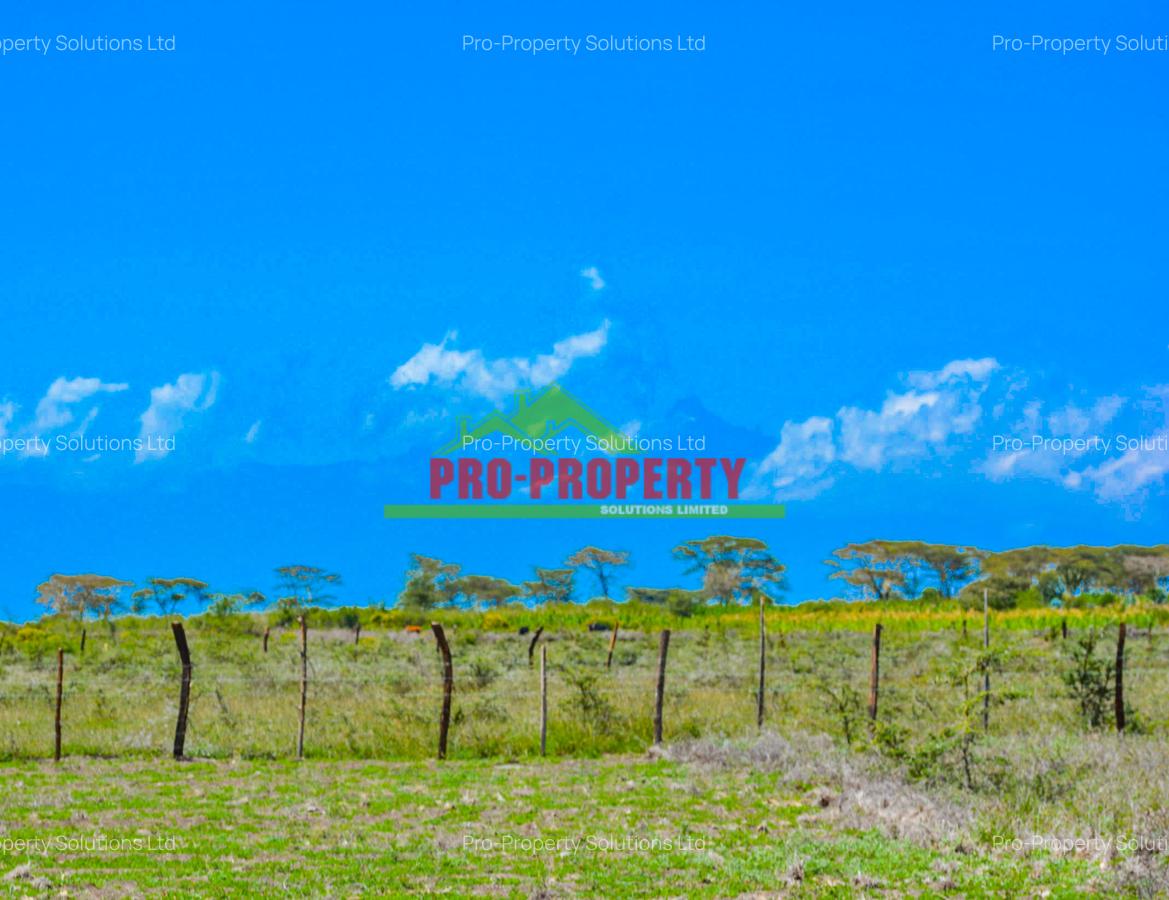 0.05 ha Residential Land at Naromoru - 4