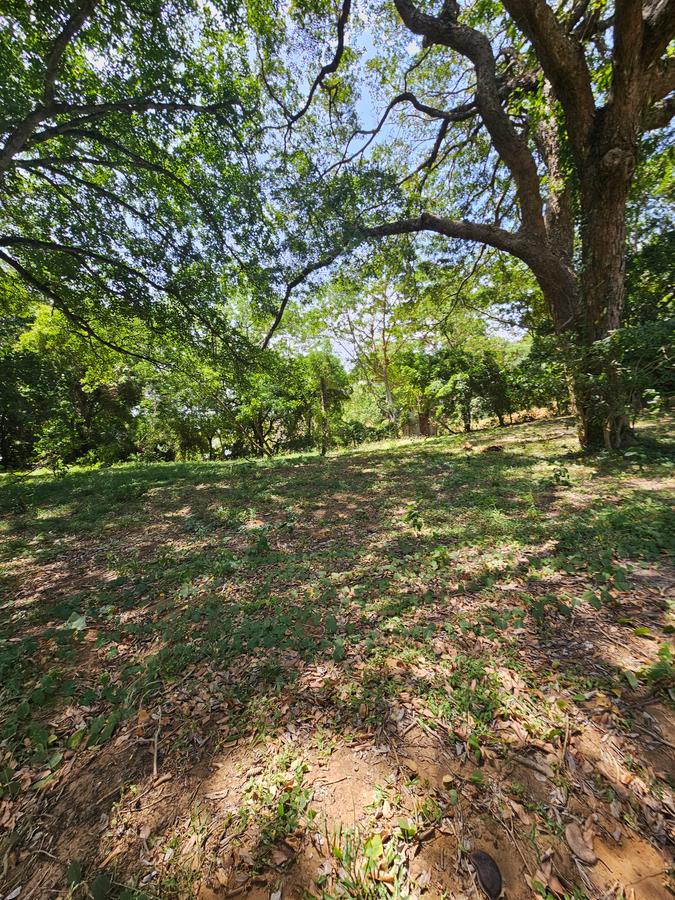 2 ac Land at Mtwapa - 5