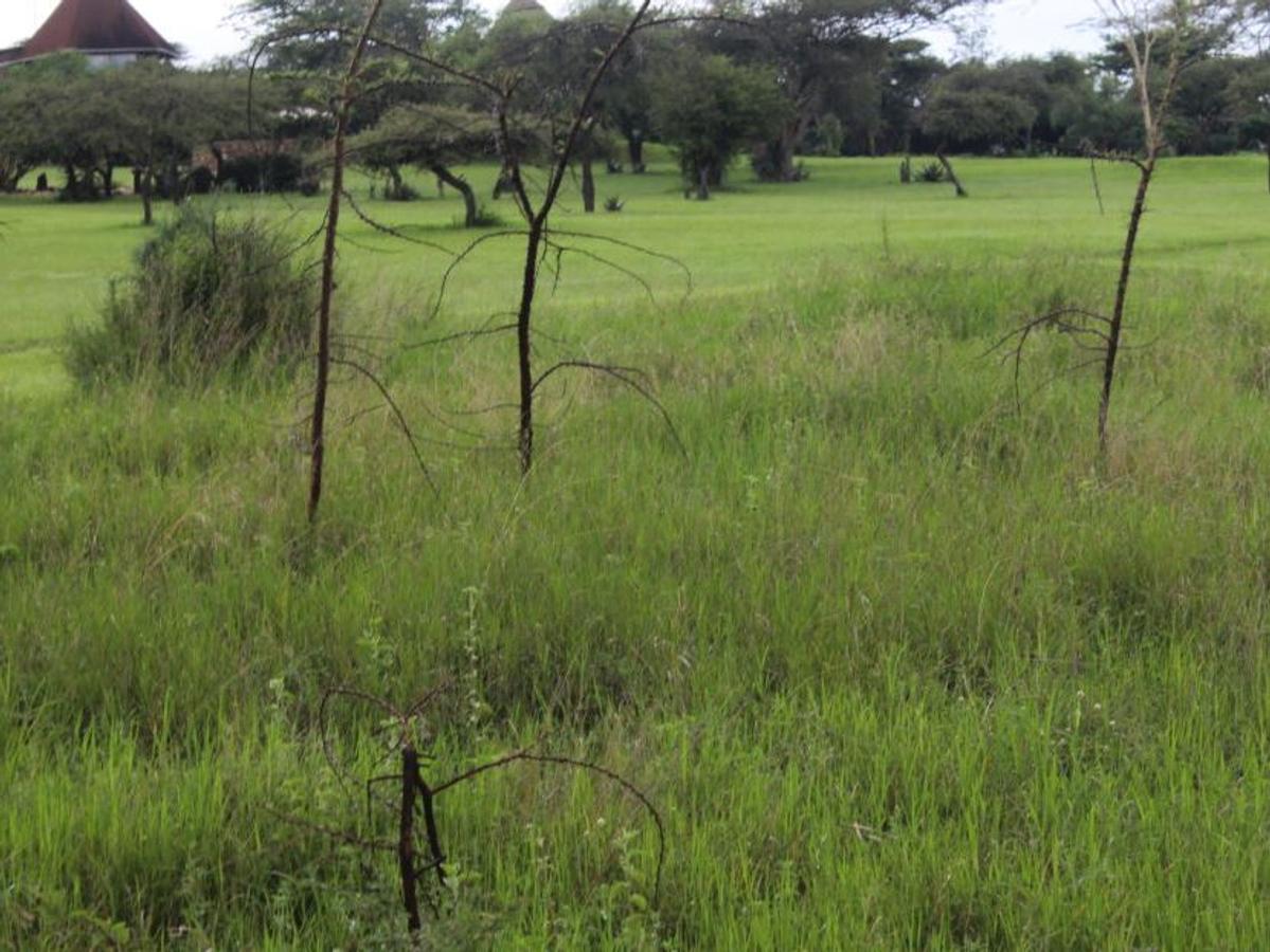 12,141 m² Commercial Land at Maanzoni Conservancy - 11