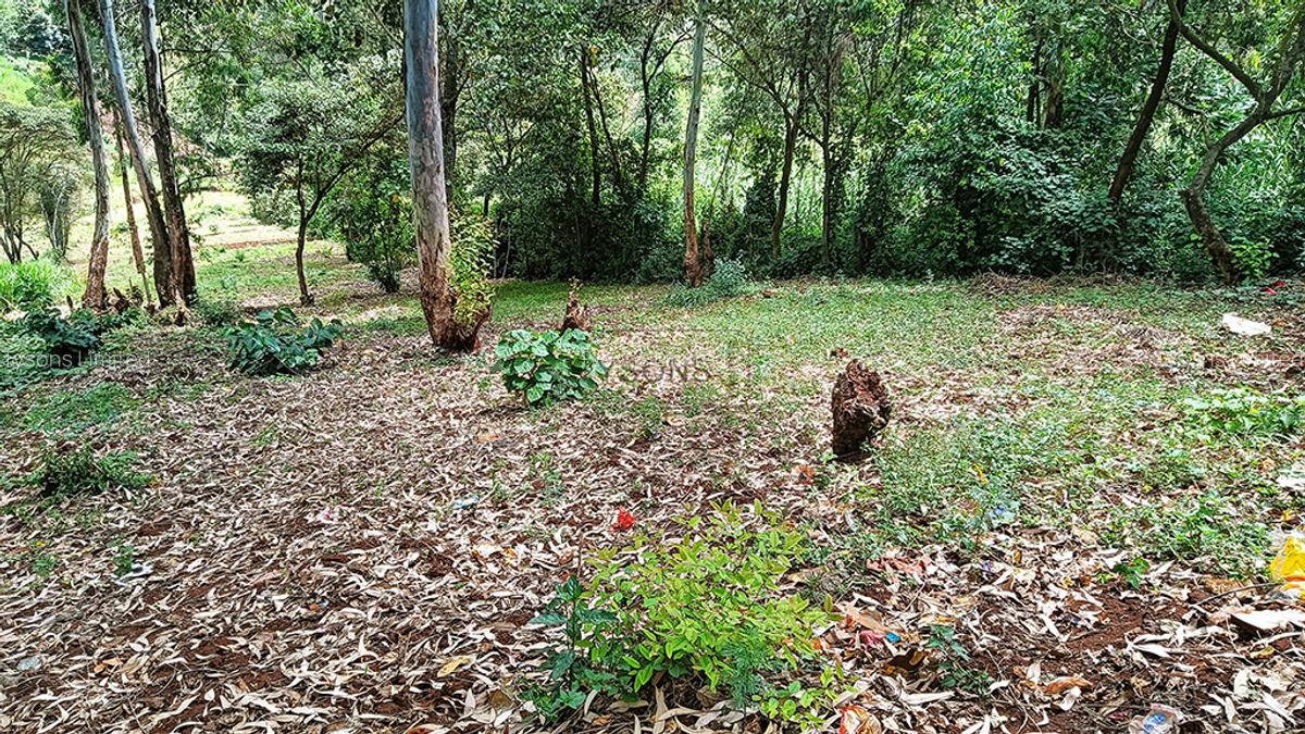 0.741 ac Land in Ruaka - 1