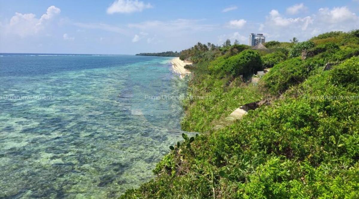 3.0 ac Land at Kuruwitu Beach - 1