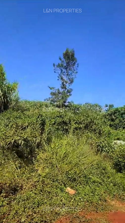 Residential Land at Runda Paradise - 4