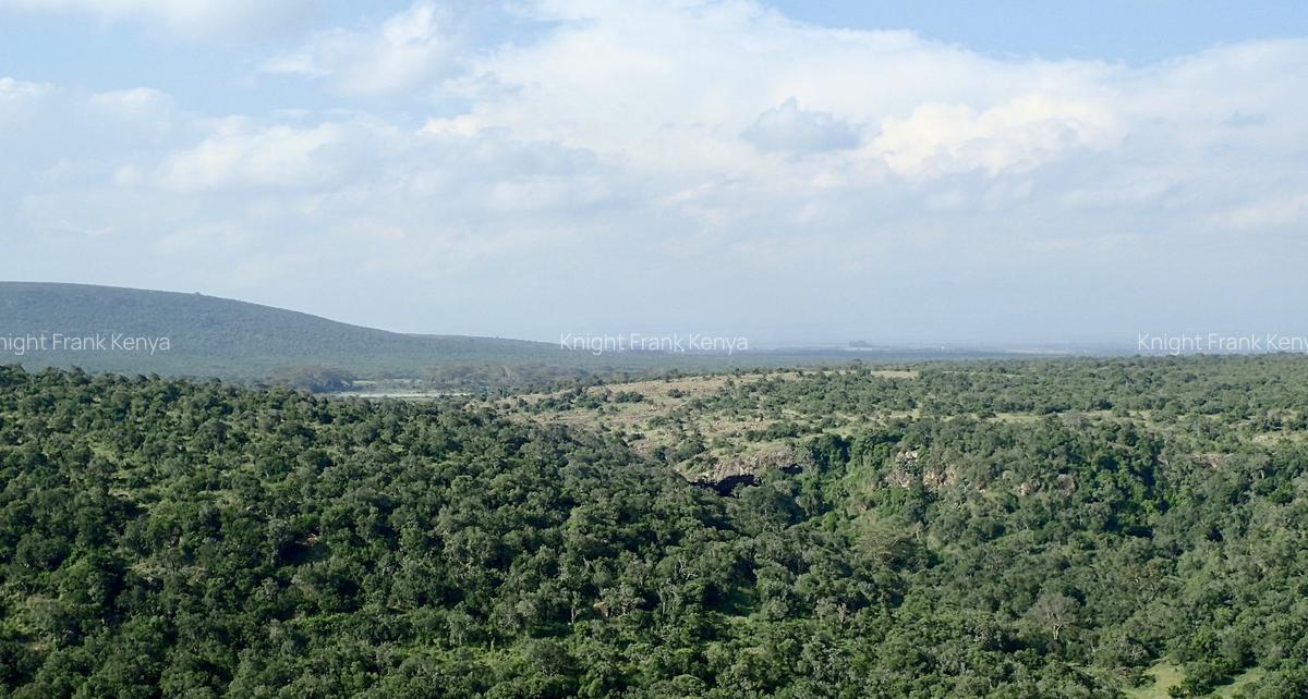 5 ac Land at Sangare Conservancy - 1