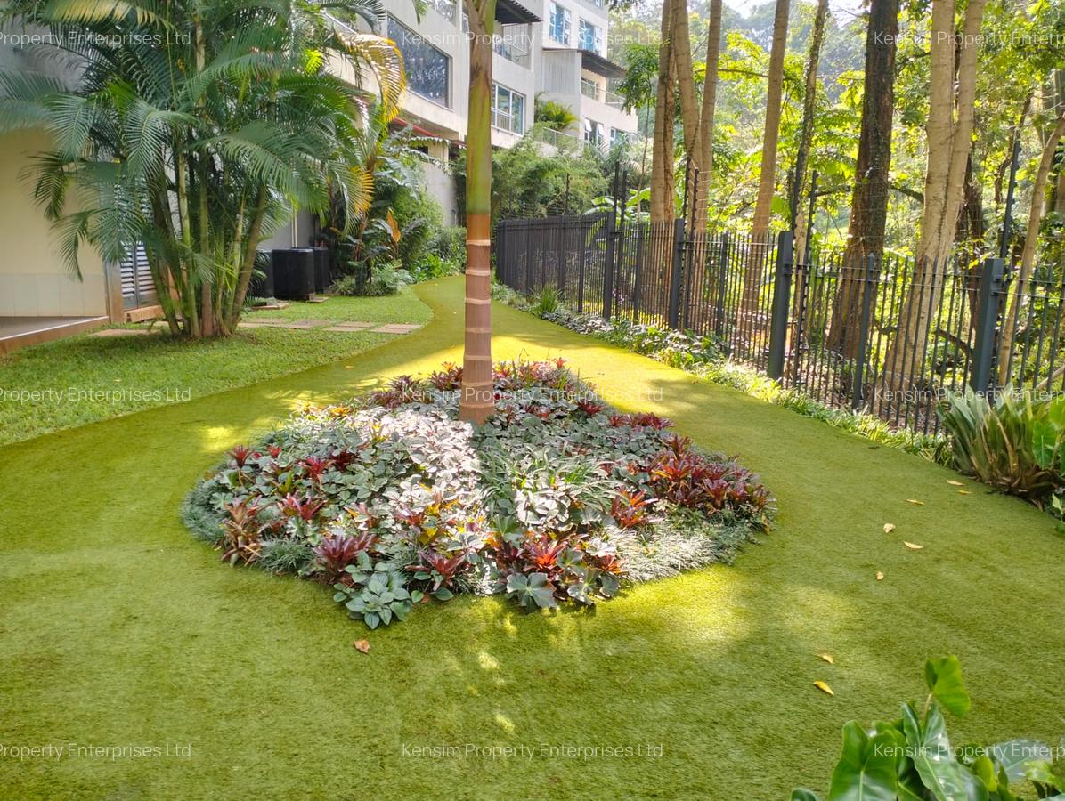 4 Bed Apartment with En Suite in Spring Valley - 19