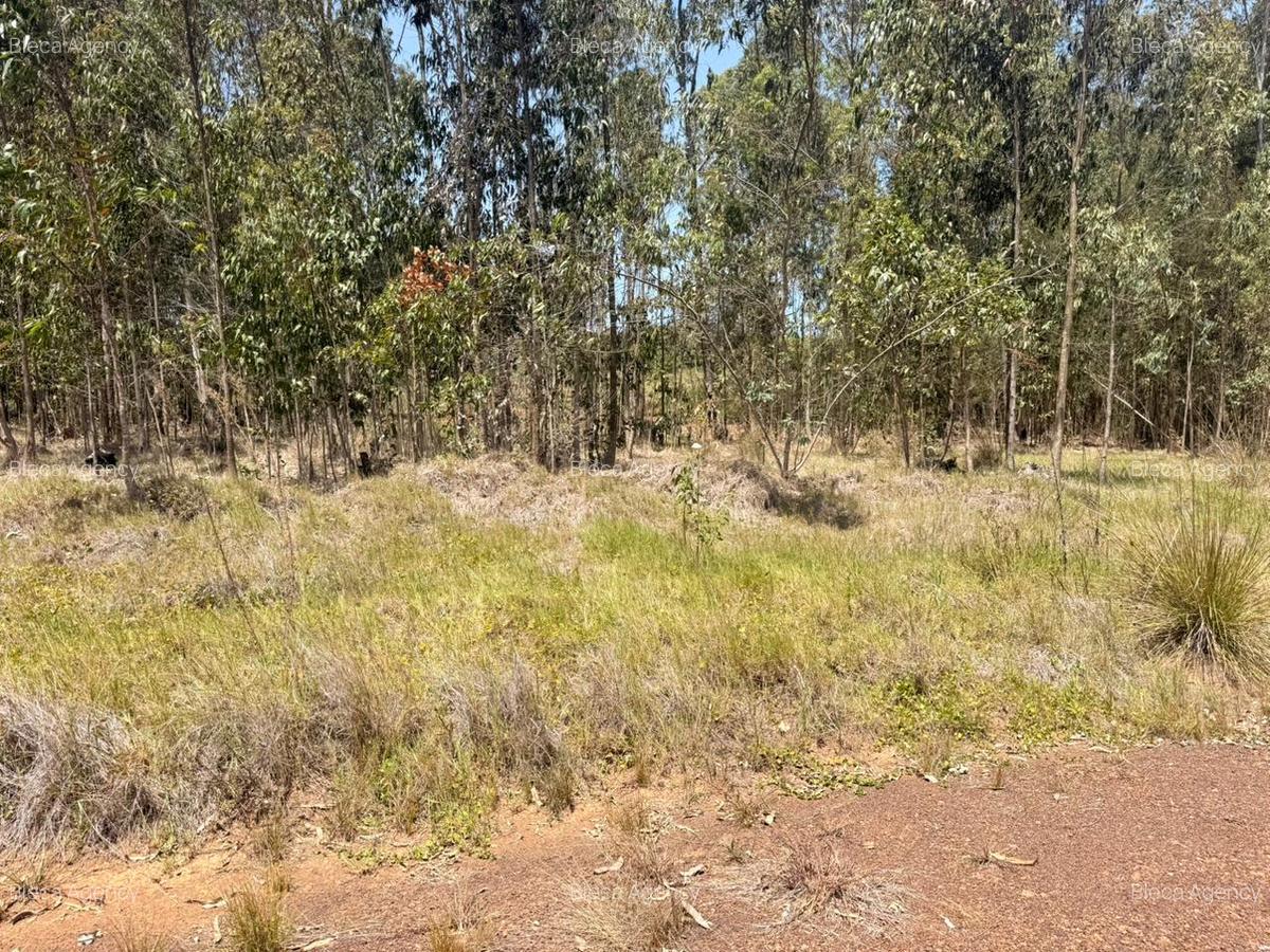 500 m² Land at Ruiru-Githunguri Road - 19