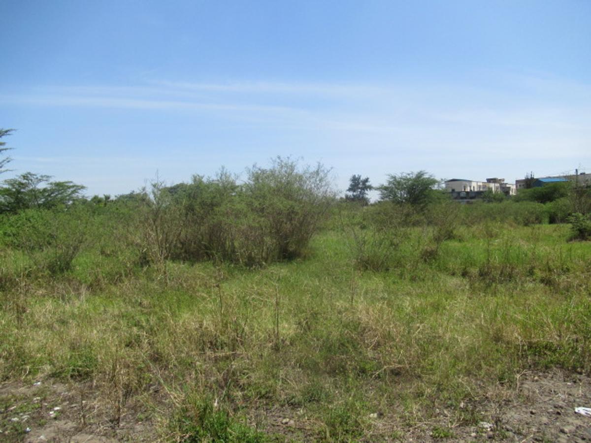 Land at Nyasa Rd - 4