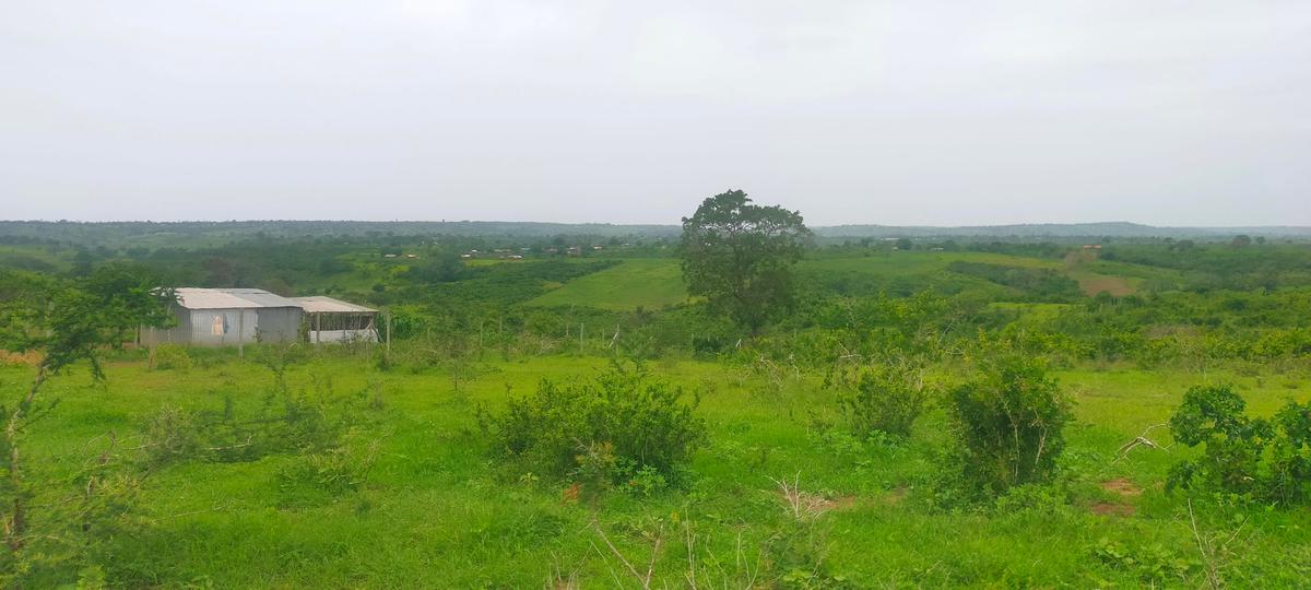 Land in Kilifi County - 19