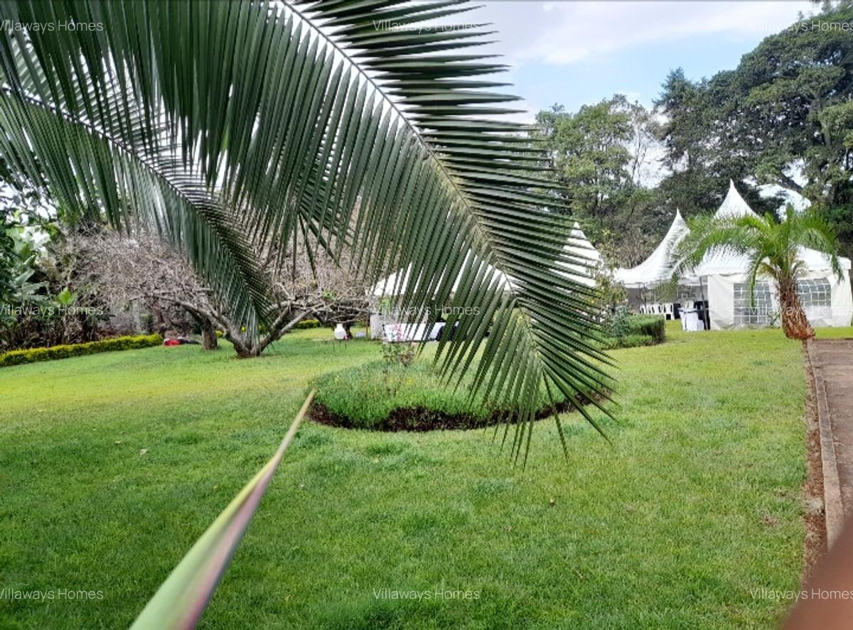 Commercial Property in Karen - 2