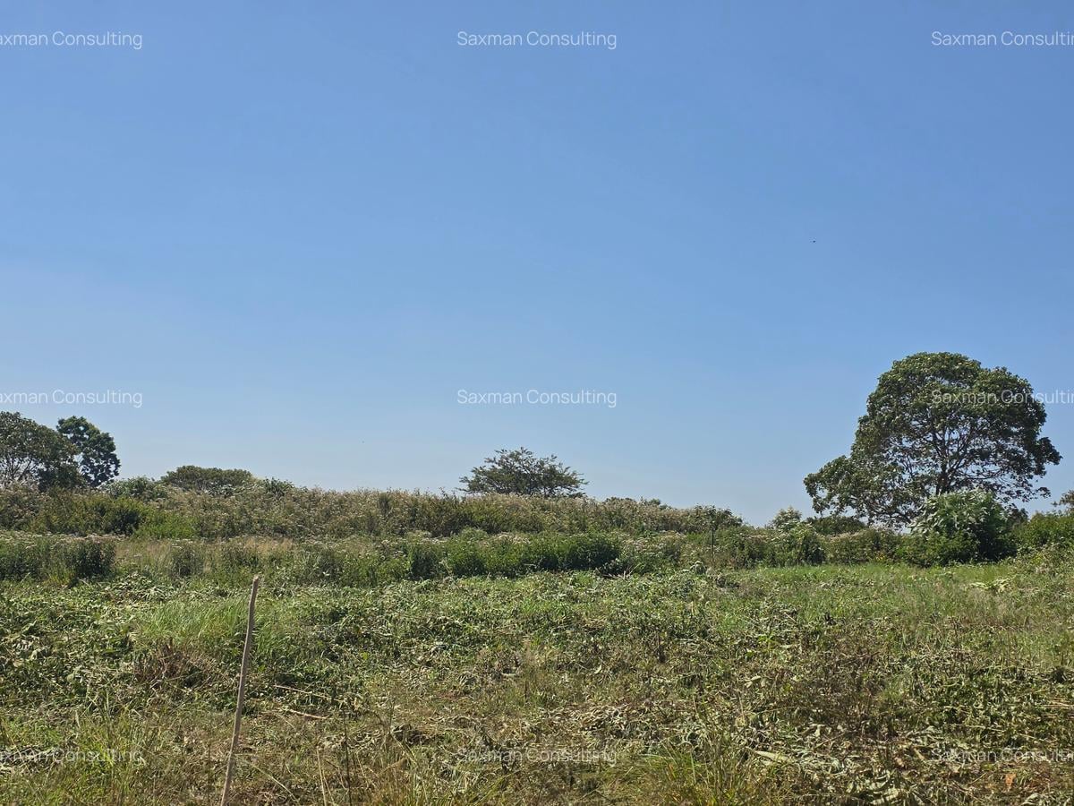 Residential Land in Runda - 3