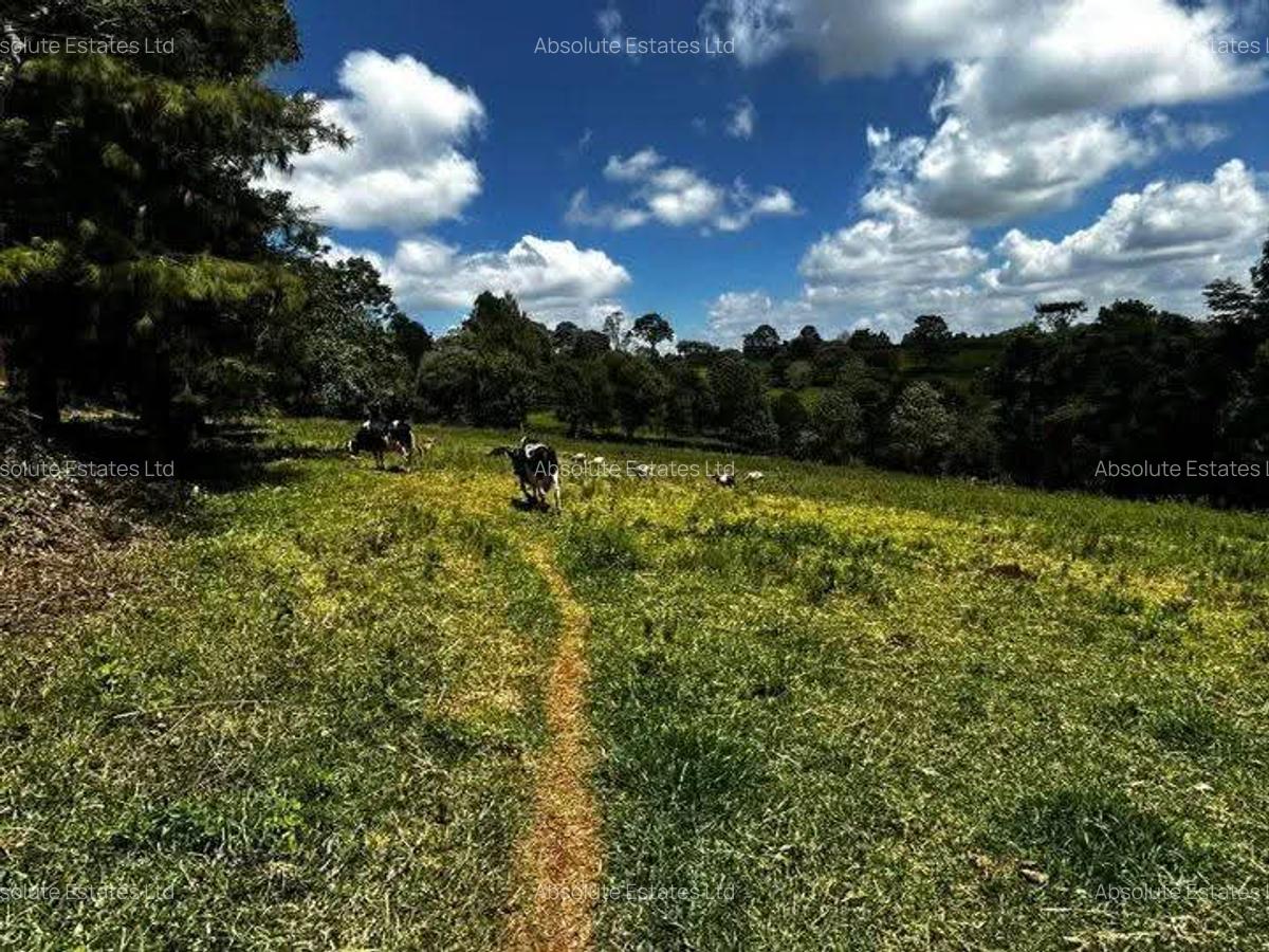 5 Bed Villa with Staff Quarters in Tigoni - 3