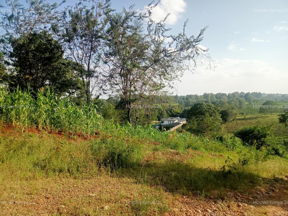 Land in Tigoni - 3