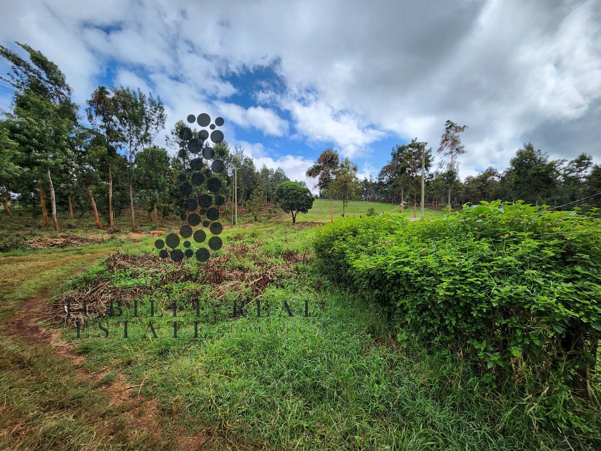 50 ac Land in Lower Kabete - 3