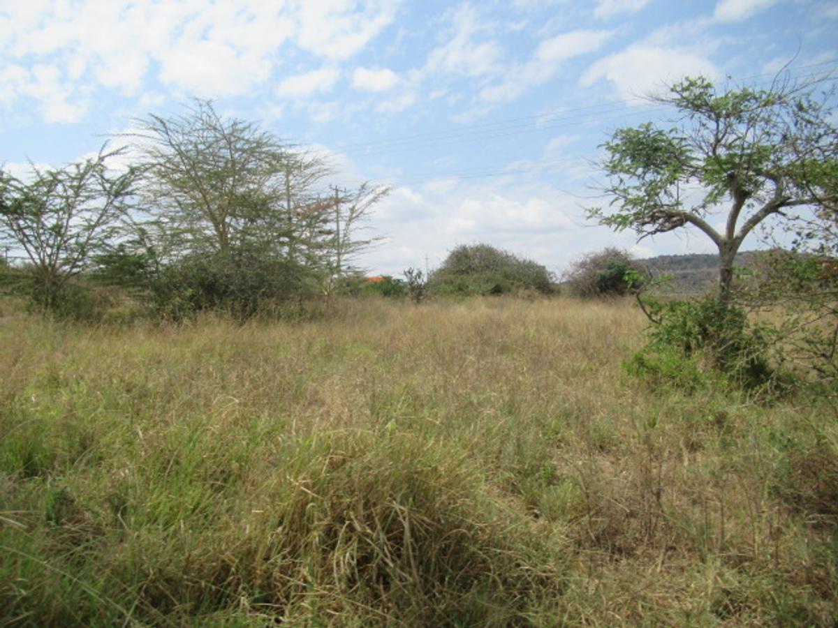 Commercial Land at Maanzoni - 11