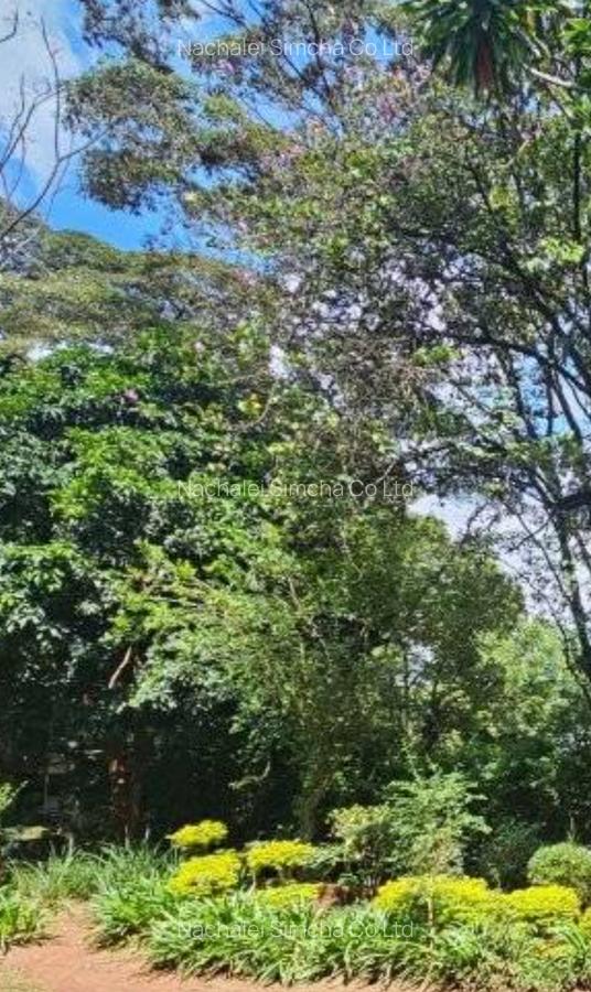 1.49 ac Land at Rhapta Road - 2