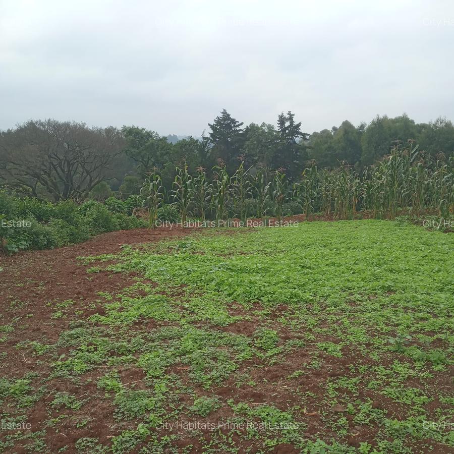 0.5 ac Residential Land in Redhill - 4
