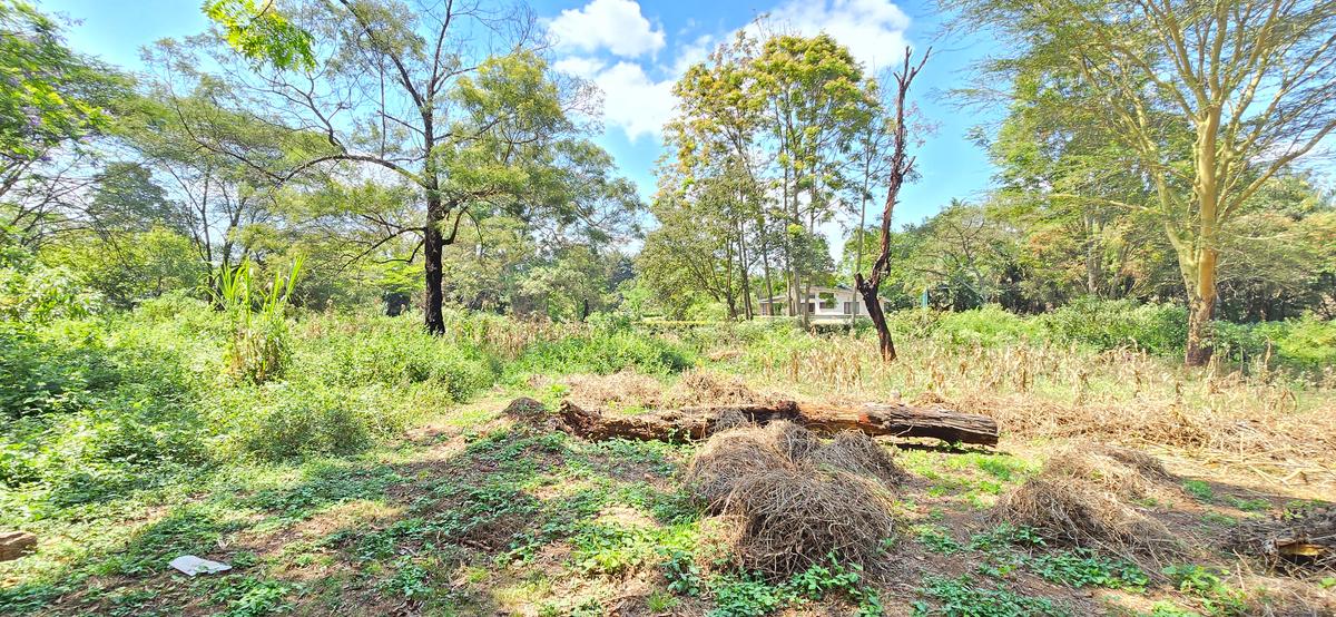 Residential Land at Shanzu Road - 4