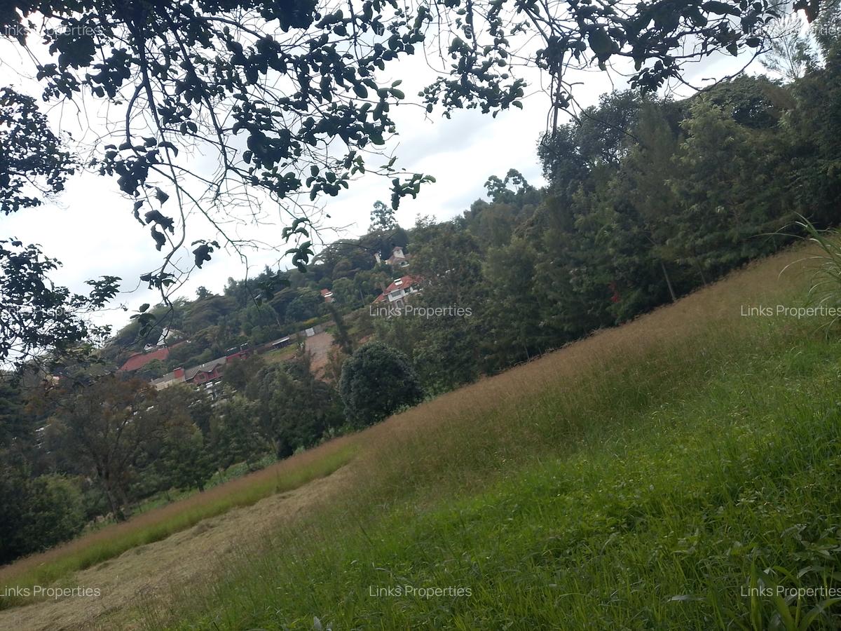 Residential Land at Kerarapon Road - 7