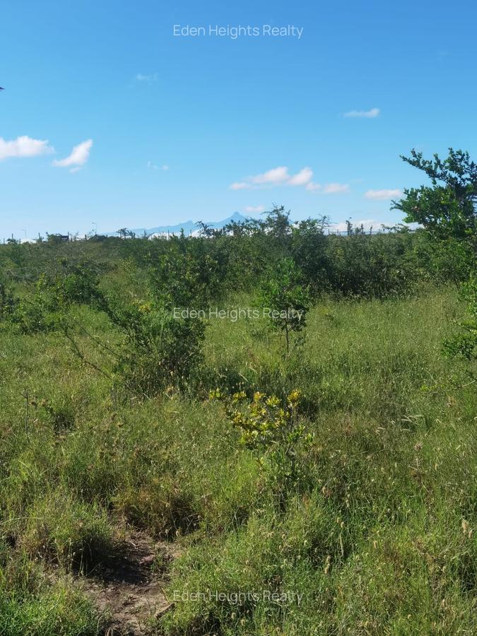 57 ac Land in Nanyuki - 6