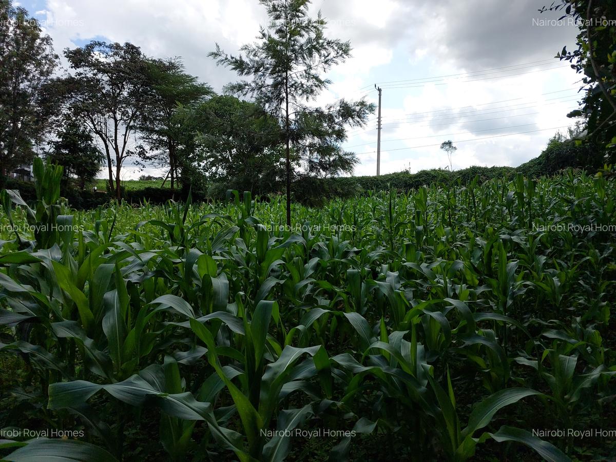 Land at Kirawa Road - 5