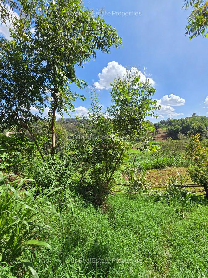 Residential Land in Kitisuru - 7