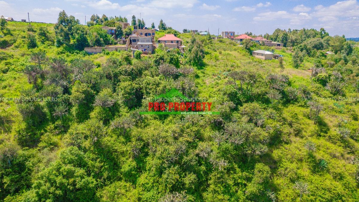 0.05 ha Residential Land in Kikuyu Town - 16