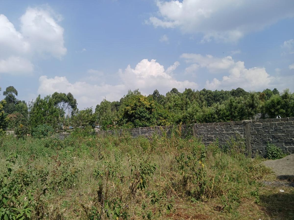 0.1 ha Residential Land at Gikambura - 3