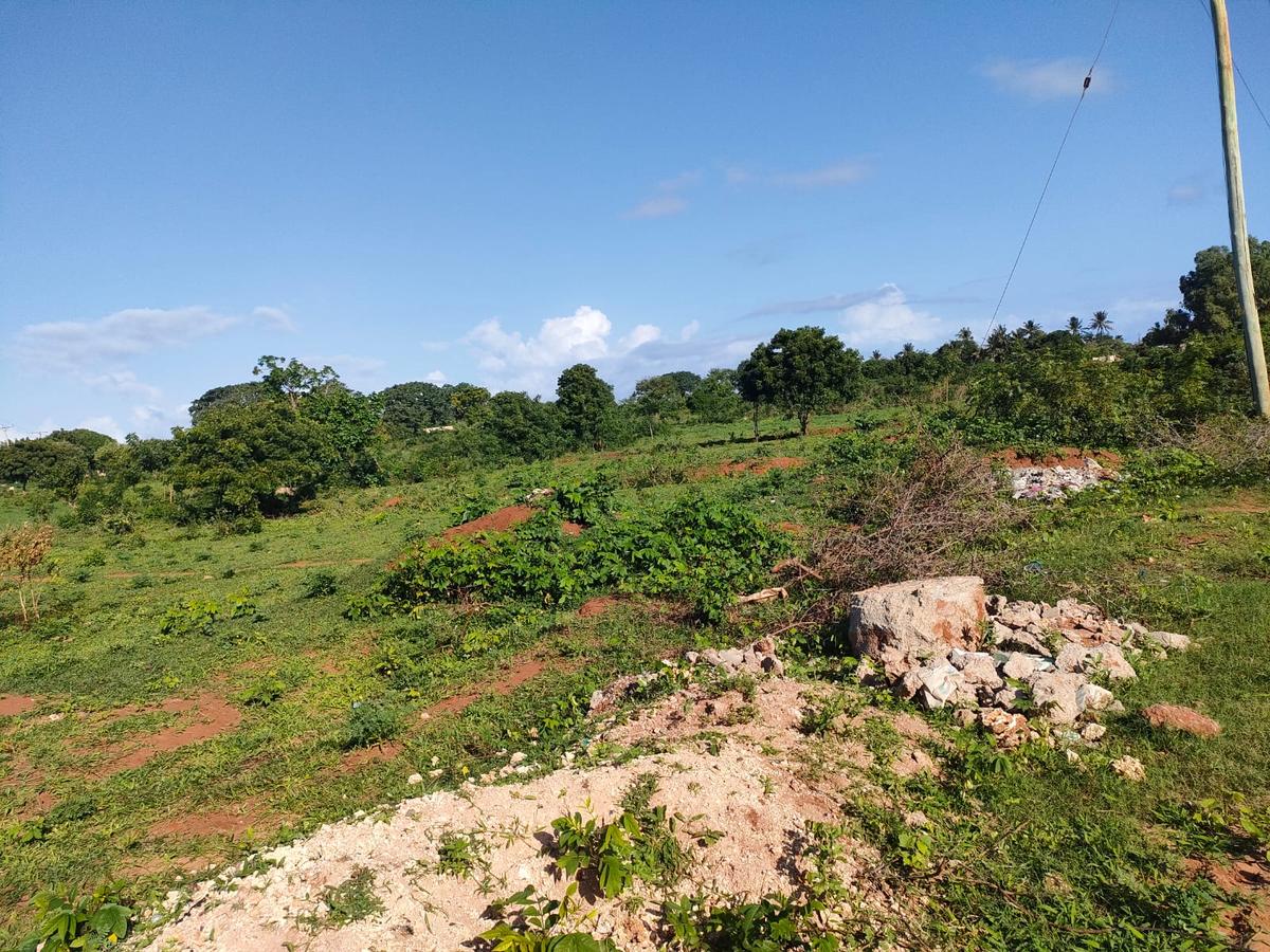 Residential Land at Mtondia Kilifi - 4