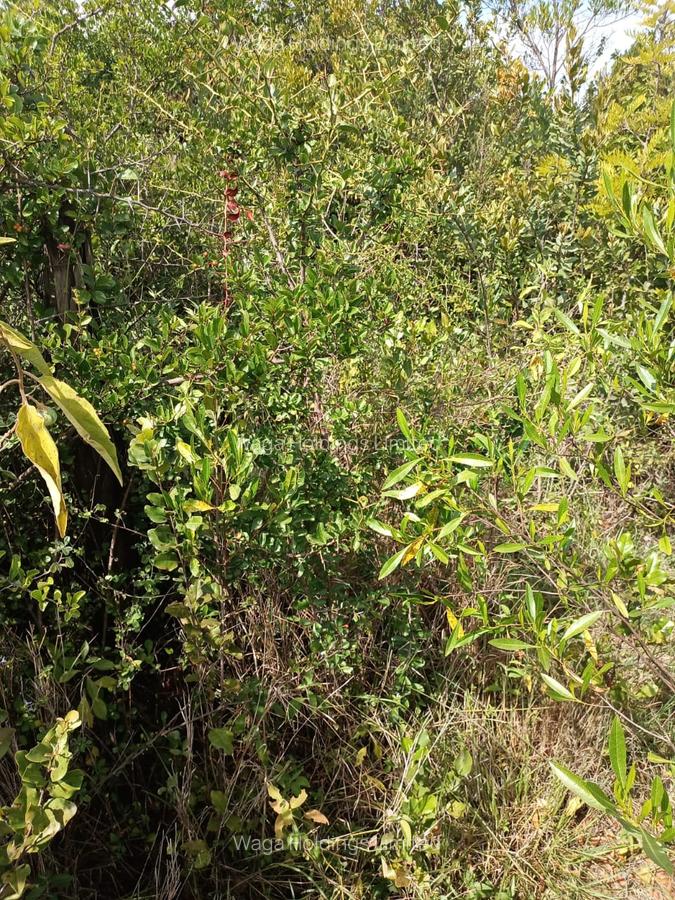 10,000 ft² Land at Marura-Nturukuma - 6