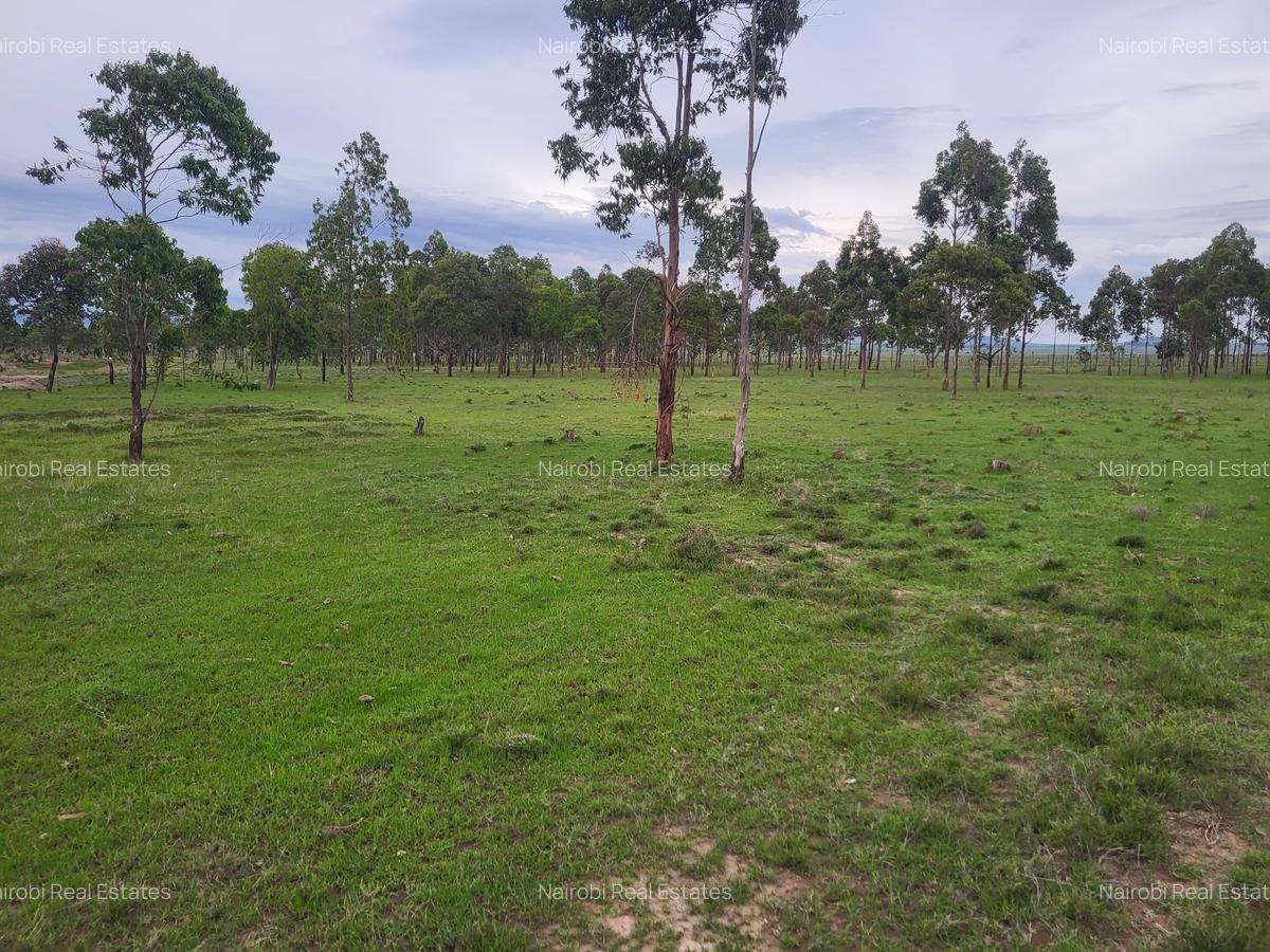 Land in Narok - 3