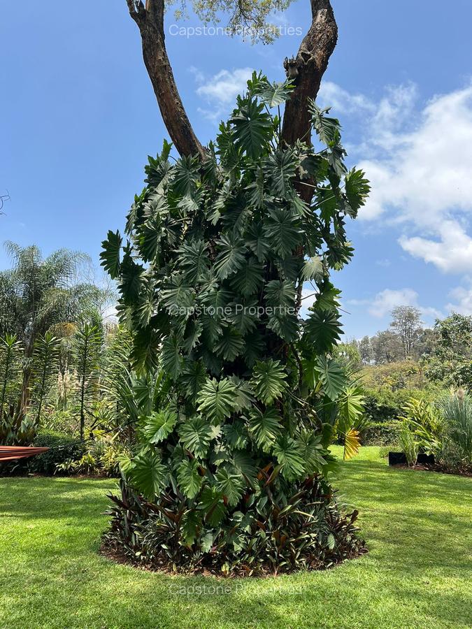 2 Bed House with En Suite in Muthaiga - 5