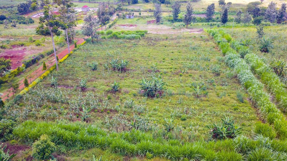 Residential Land in Thika - 5