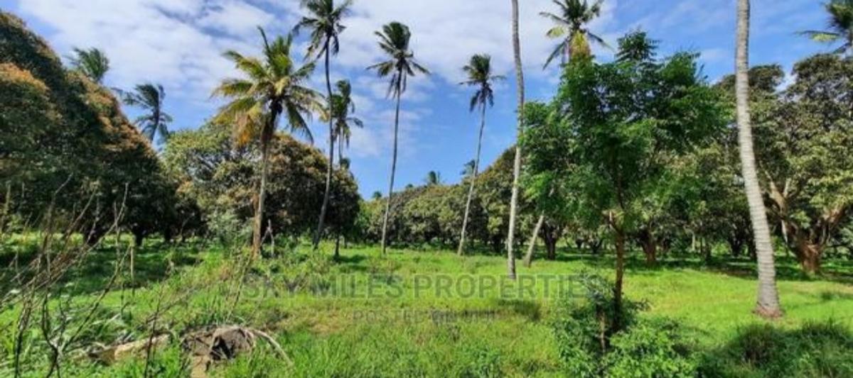 46 ac Land at Greenwood Mtwapa - 17