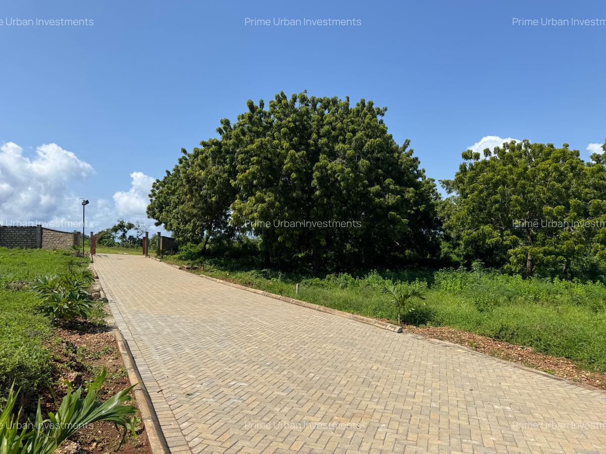 Land in Vipingo - 6