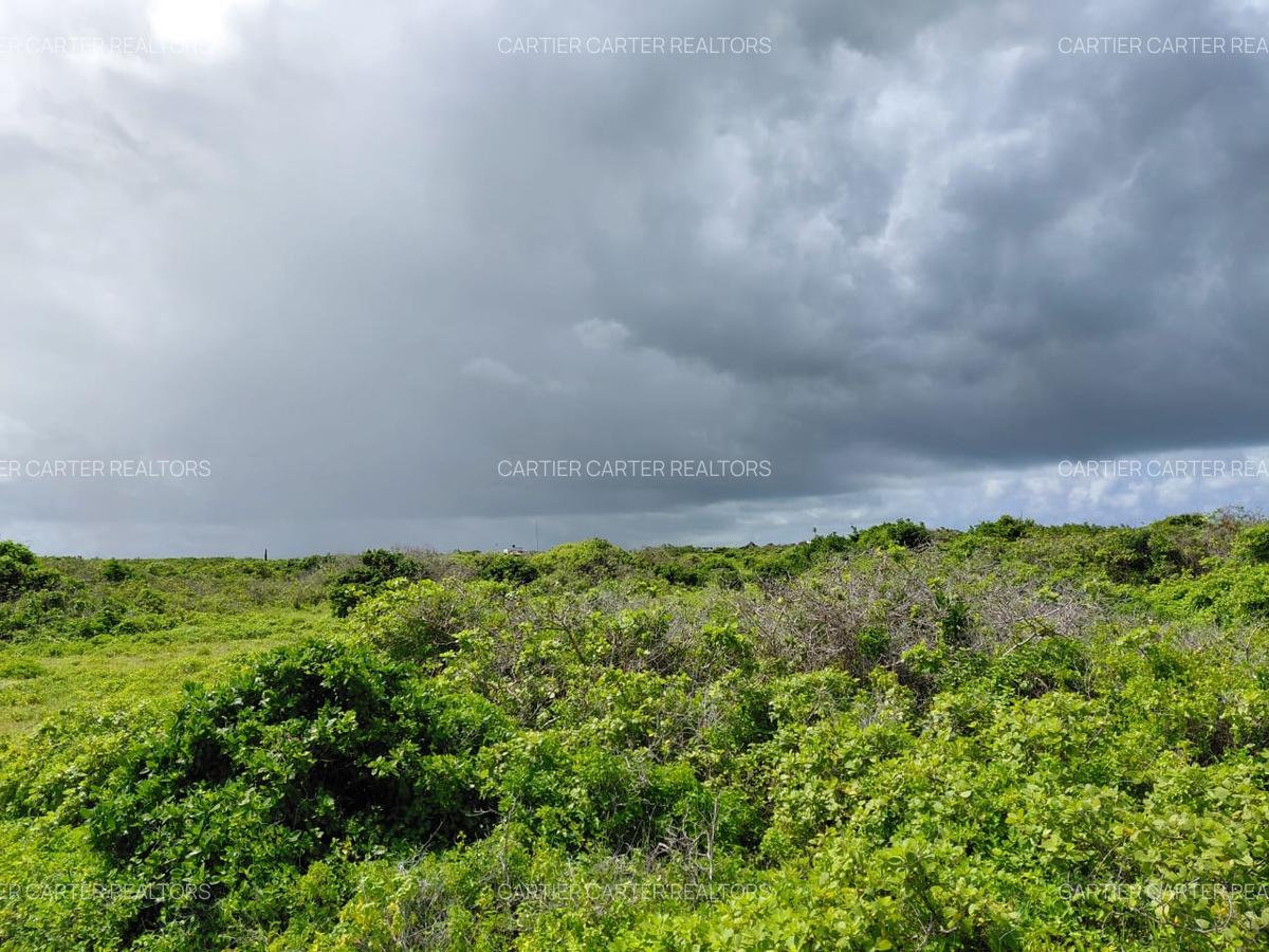 12 ac Land in Watamu - 17