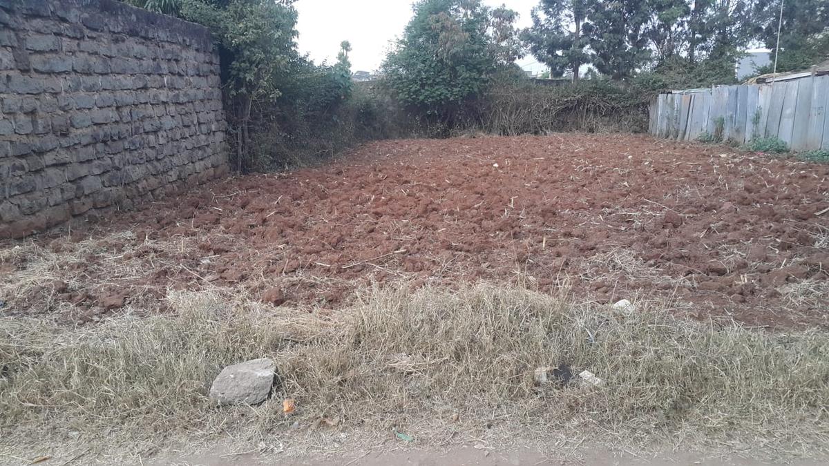 Land in Ruiru - 4