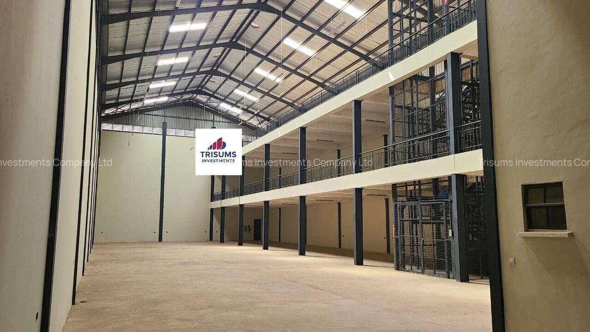 15,000 ft² Warehouse with Fibre Internet at Cabanas - 1