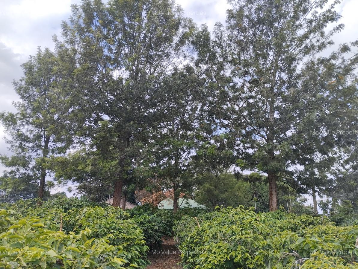 100 ac Land at Thika Road - 6