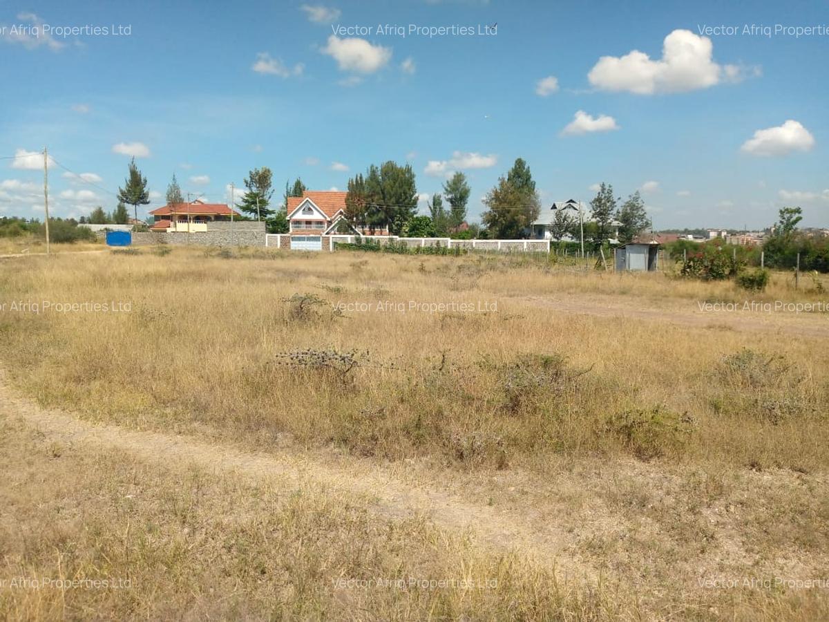 Commercial Land at Chuna - 1