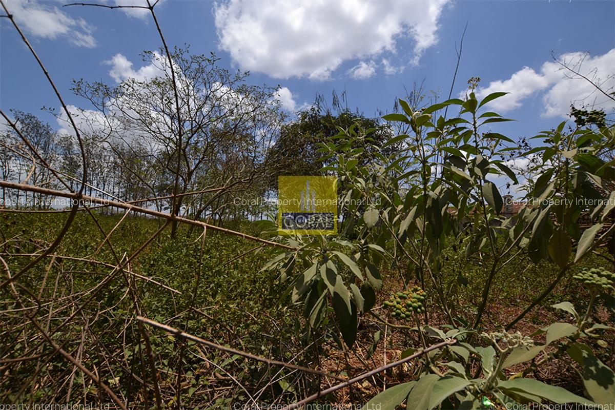 0.5 ac Land in Nyari - 1