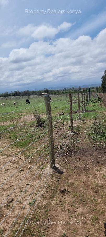 505 m² Commercial Land at Gakawa - 5