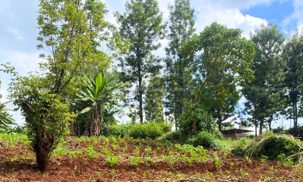 1 ac Residential Land at Muchatha - 8