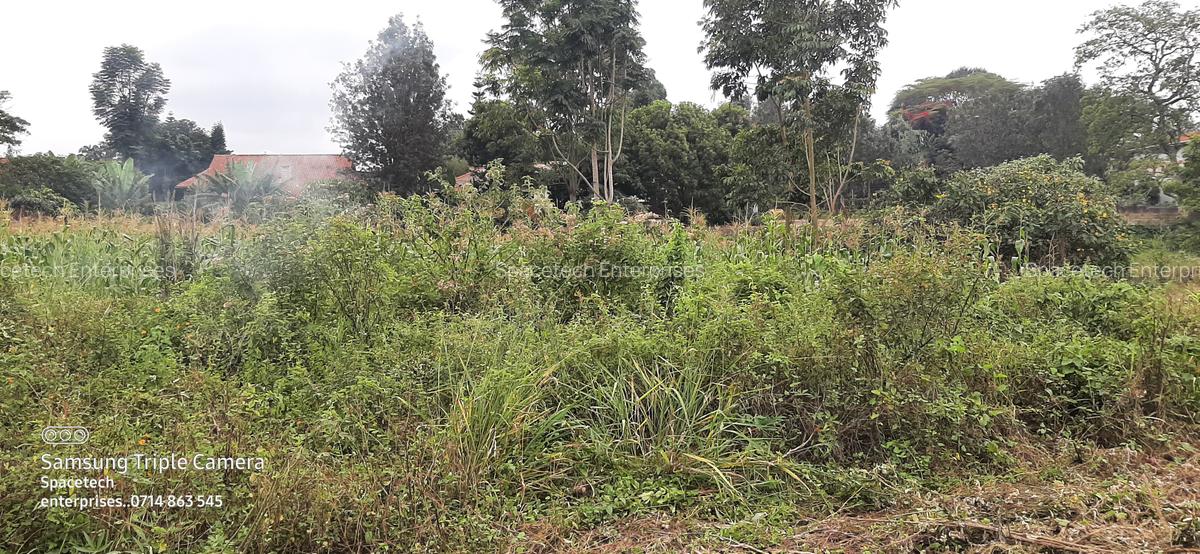 Commercial Property in Nyari - 4