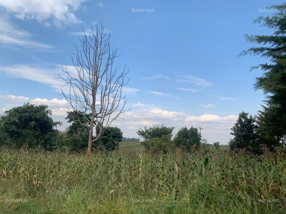 0.5 ac Land at Kiganjo Junction - 3