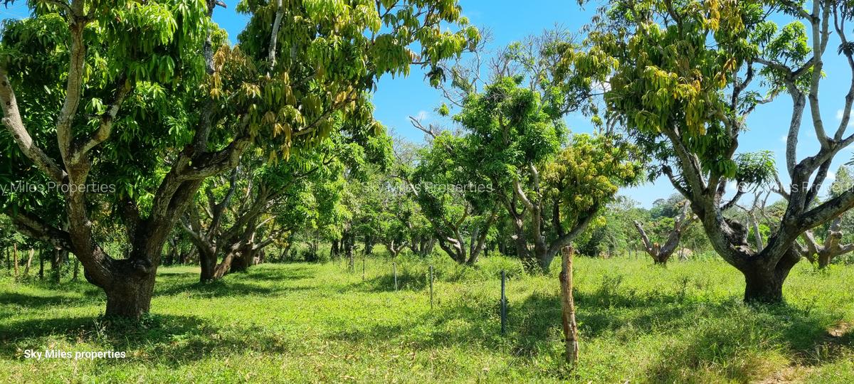 25 ac Land at Mtwapa - 13