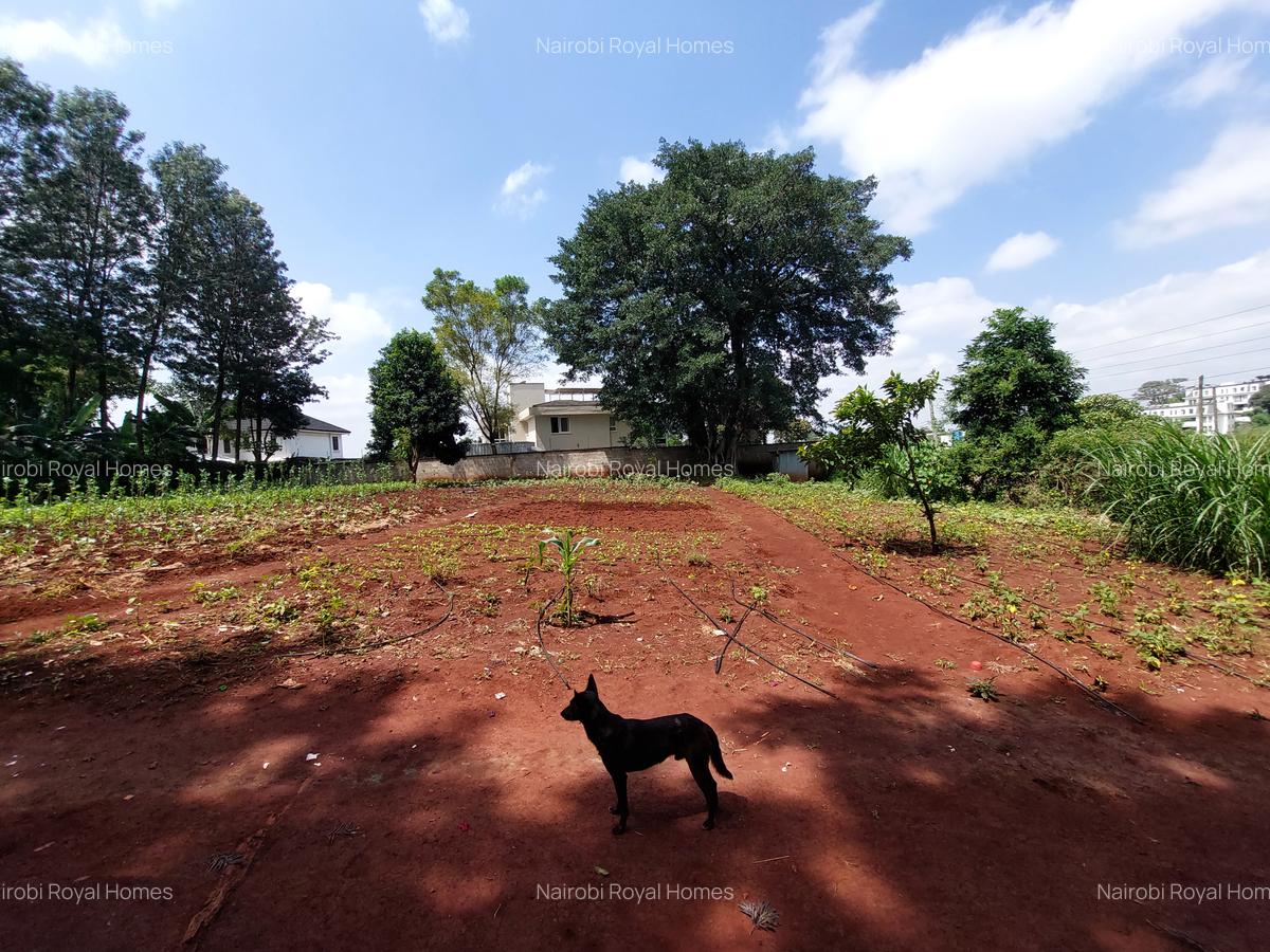 Residential Land at Kirawa Road - 9
