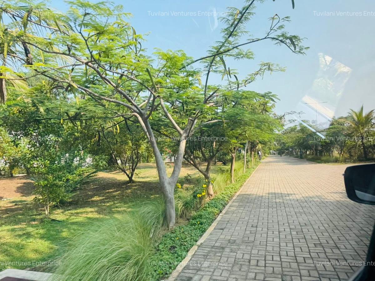Land at Vipingo - 6