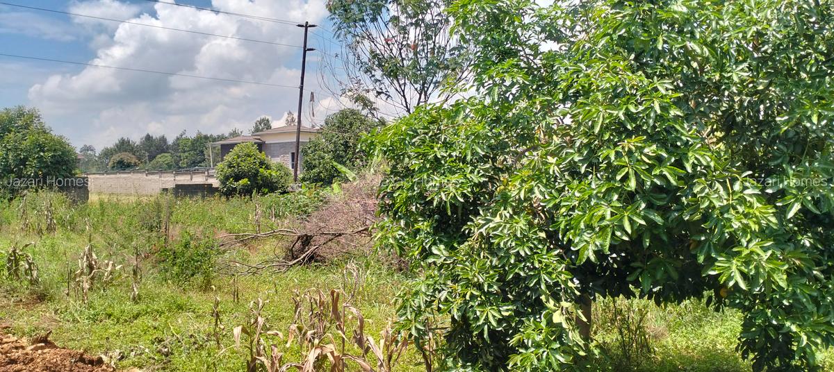 Land at Runda - 4