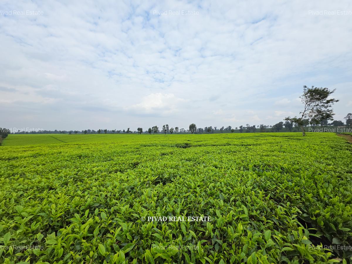 995 ac Land in Tigoni - 7